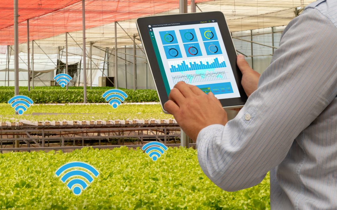 How IoT technology improves food safety & restaurant efficiency