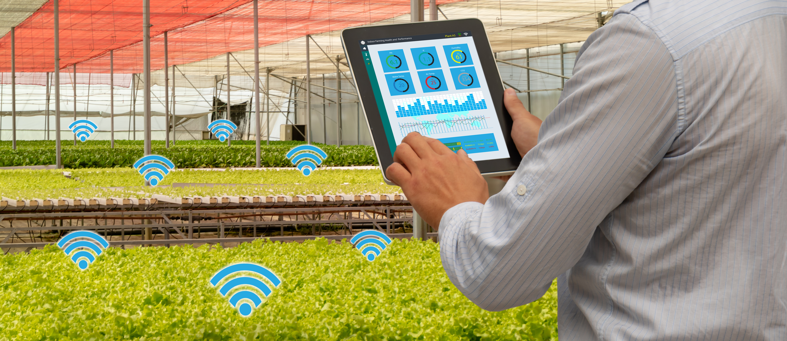 How IoT technology improves food safety & restaurant efficiency