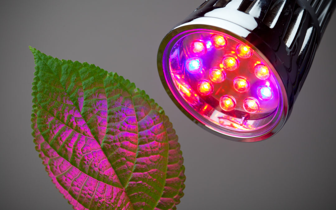 Organic LEDs? Research shows promise for optical wireless communications